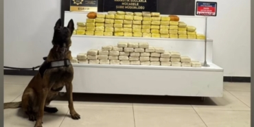 Screenshot_20251026_071819_Facebook