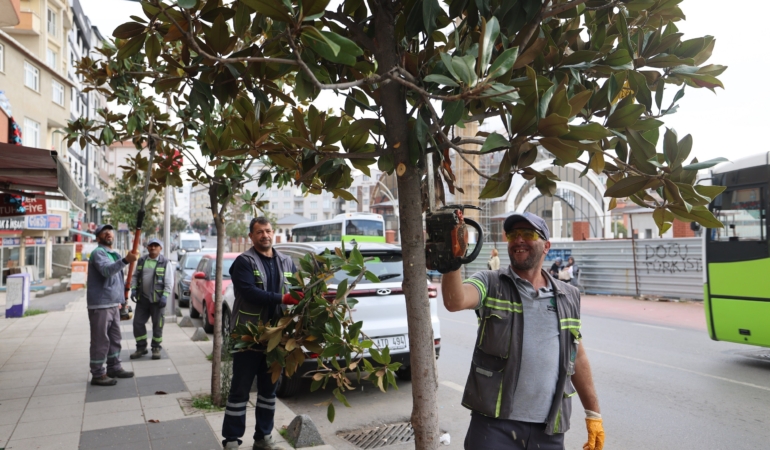 Çayırova’da mevsimlik budama çalışmaları başladı
