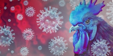 Screenshot_20251118_125331_Chrome