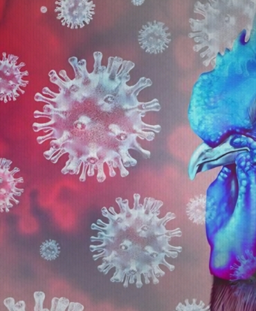 Screenshot_20251118_125331_Chrome