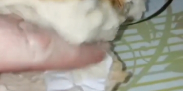 Screenshot_20251118_230241_WhatsApp