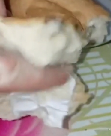 Screenshot_20251118_230241_WhatsApp