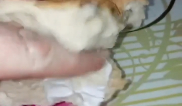 Gebze’de Ekmekte Şok: Poşet Parçası Çıktı!!!