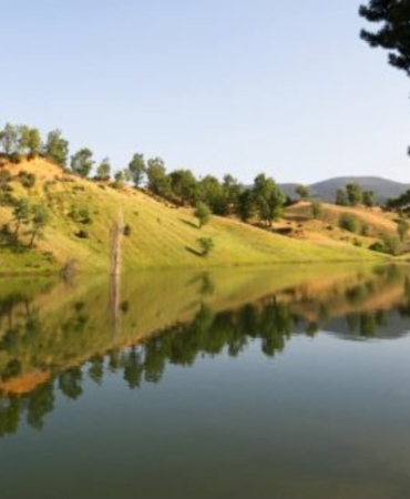 Screenshot_20251223_051251_Chrome