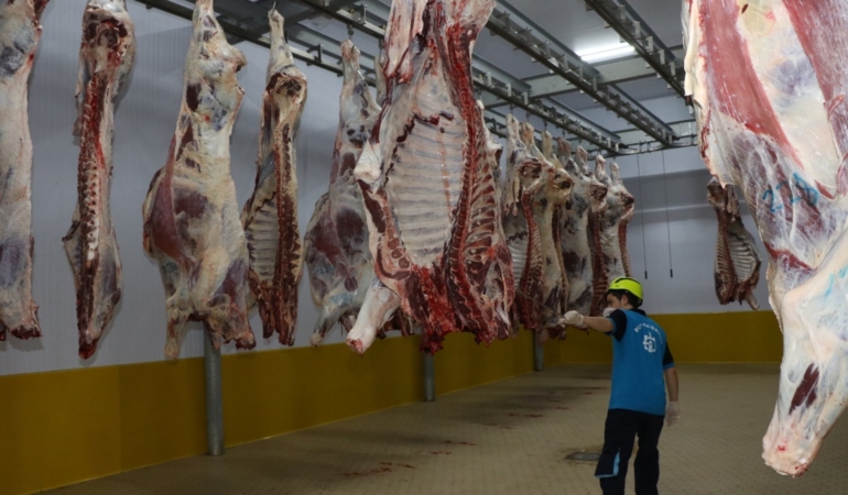 Kasapların tercihi Büyükşehir Mezbahası