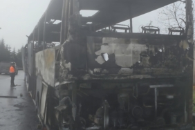 Screenshot_20260124_154934_Gallery