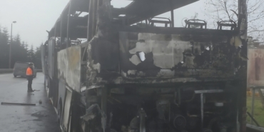 Screenshot_20260124_154934_Gallery