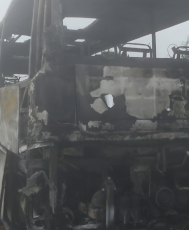 Screenshot_20260124_154934_Gallery