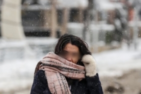 Screenshot_20260129_093533_Chrome