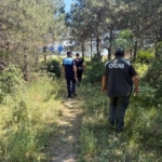 IMG_3462